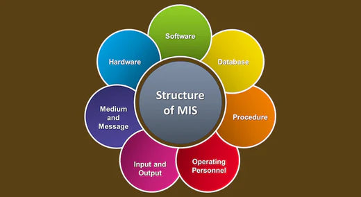 How MIS improves operational efficiency of online merchants