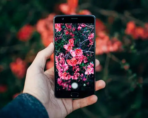 Tug of On-Screen War: Mobile website vs Responsive Design